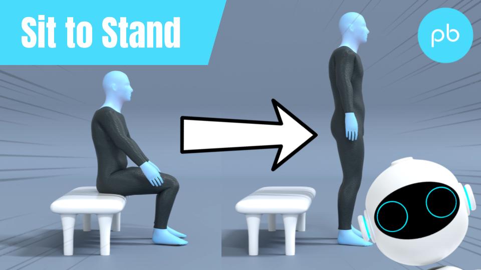 Sit to Stand