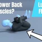 Lumbar Flexion in Lying