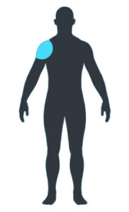 physio symptom checker
