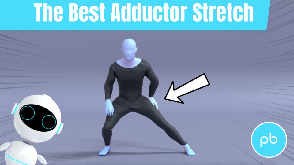 Adductor Stretch