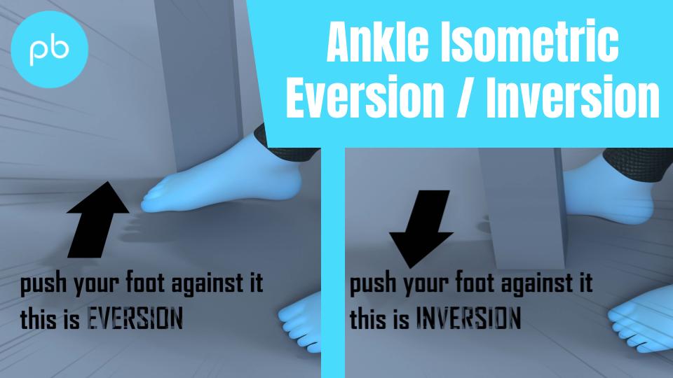 Ankle Isometric eversion and inversion