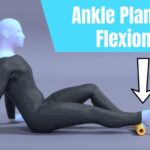 Ankle plantarflexion