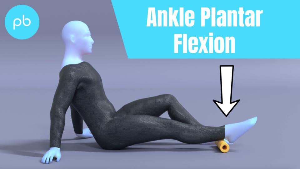 Ankle plantarflexion