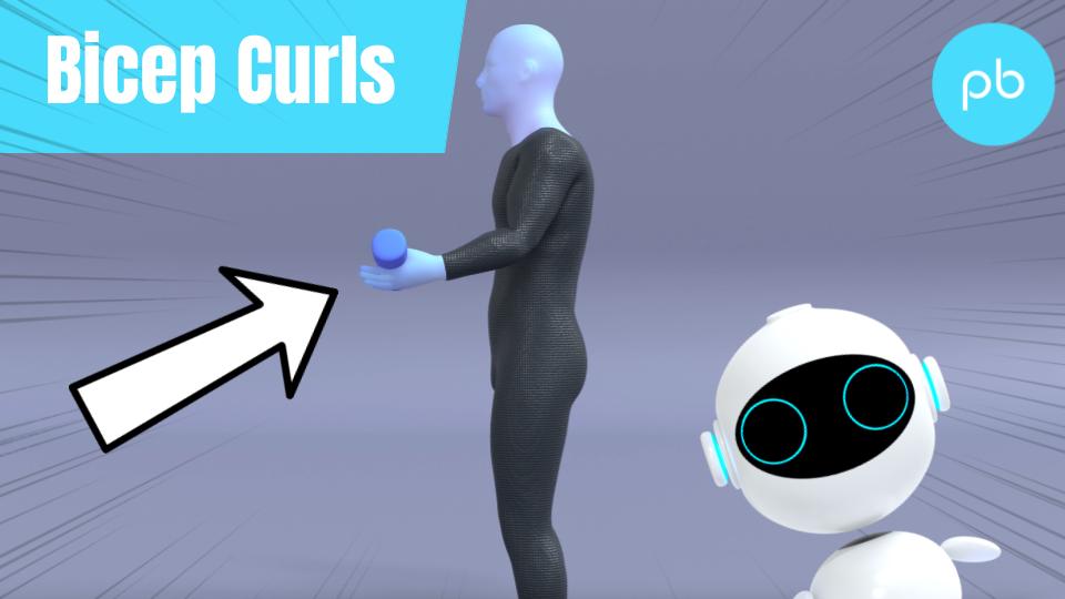 Bicep Curls