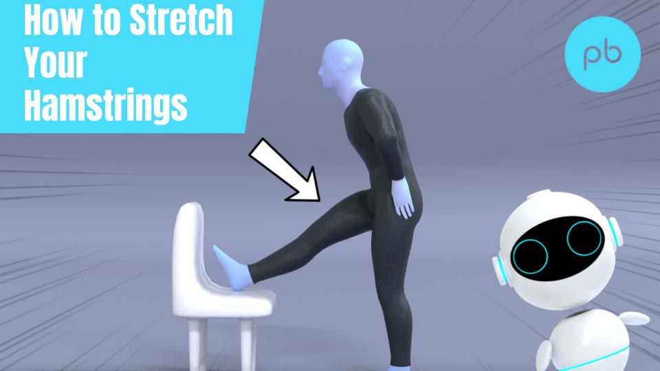 Hamstring Stretch