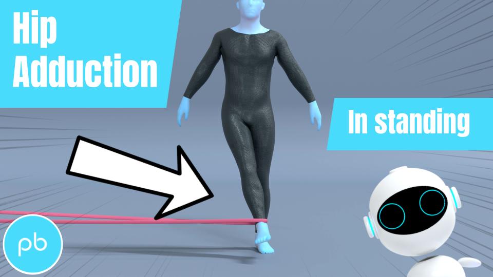 Hip Adduction in Standing