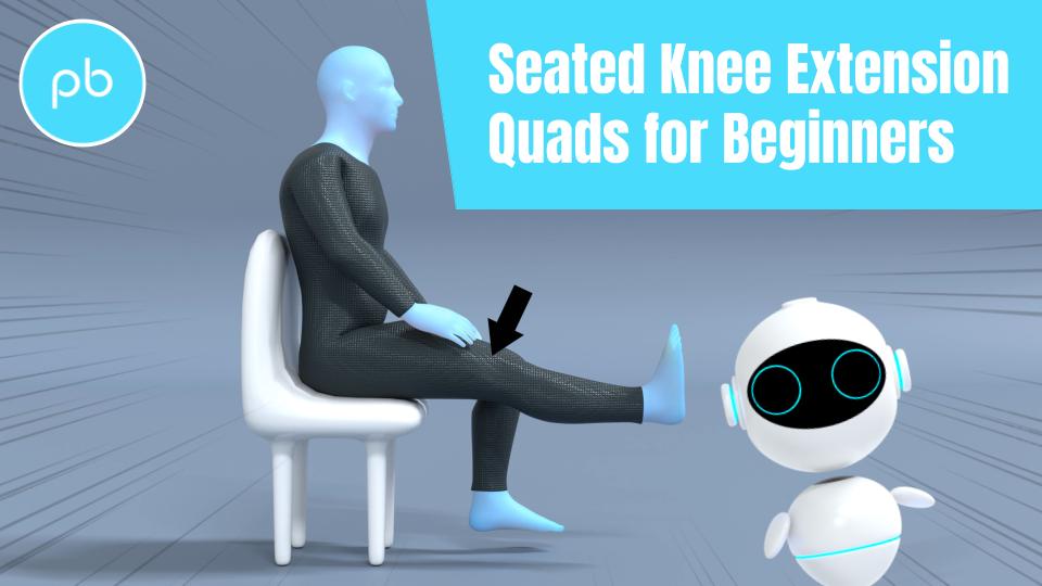 Seated Knee Extension