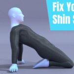 Shin Stretch