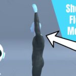 Shoulder Flexion Mobility