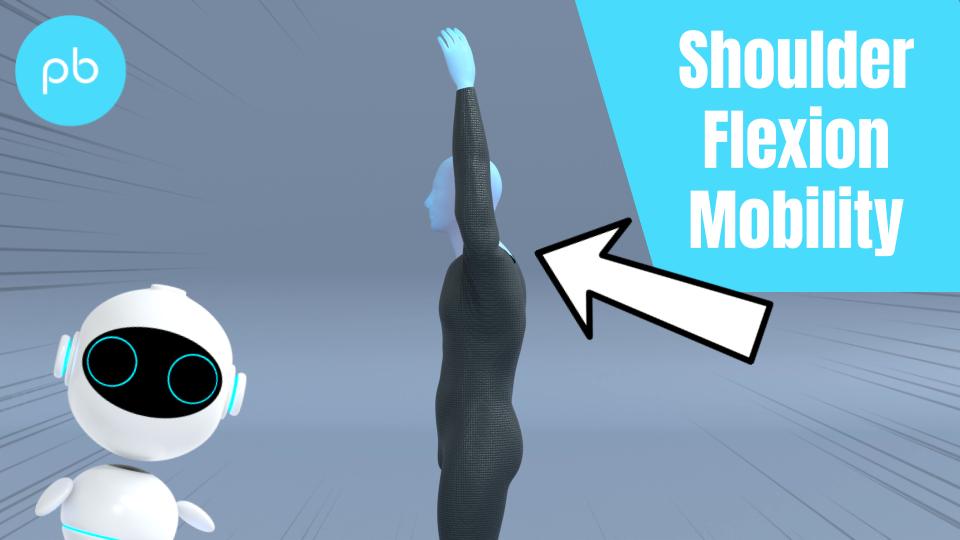 Shoulder Flexion Mobility