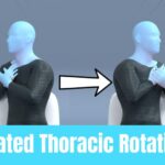Seated Thoracic Rotation