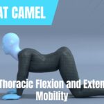 Thoracic Flexion and Extension Mobility