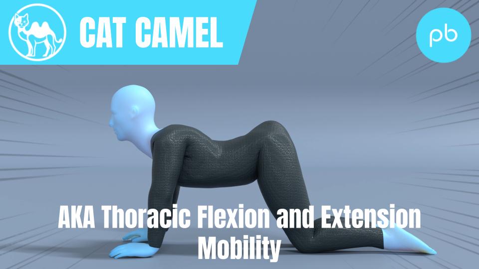 Thoracic Flexion and Extension Mobility