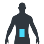Online Physio Rehab